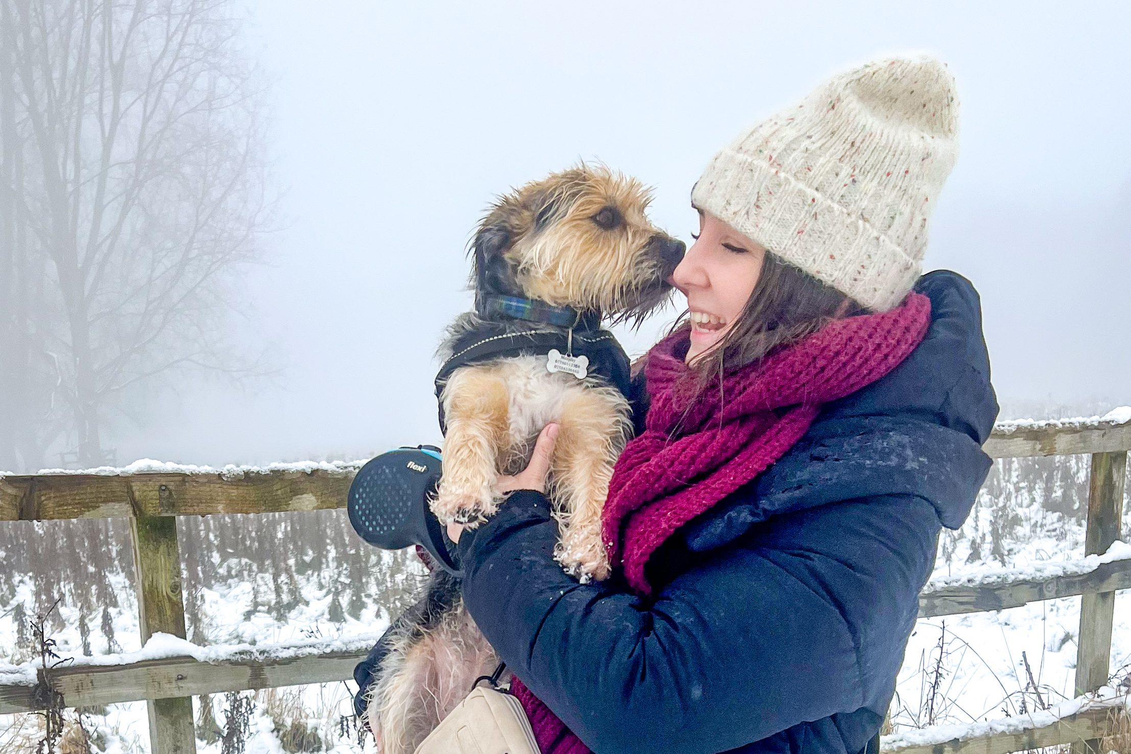 The Ultimate Winter Dog Walking Gear Guide (Tested in the Great British Weather)